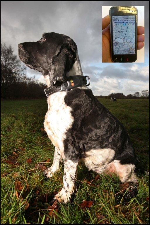 Podsystem enables Retrieva dogs to roam across Europe