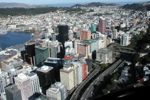Fruitless search for a parking space could be at an end for drivers in the New Zealand capital