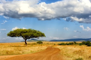 PodM2M connects TAHMO IoT weather monitoring systems to remedy chronic hunger in Africa