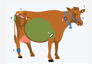 Analyst report: Smart agriculture