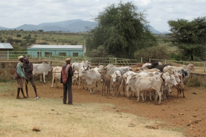 CTA targets 20,000 Ethiopian smallholders with climate smart technology