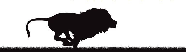 You don’t have to outrun the lion, simply stay ahead of the herd