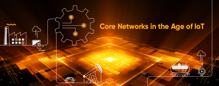 The Evolution of Core Networks in the Age of IoT