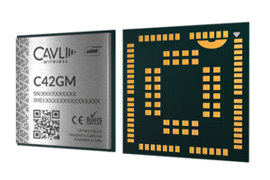 Cavli to make LPWAN, LTE and 5G modules in India on GCT Semiconductor chipsets