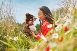 Vodafone expands Curve range with new solution for pet owners