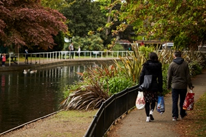 Smart Solutions for green spaces and empty homes brings community improvements in South London