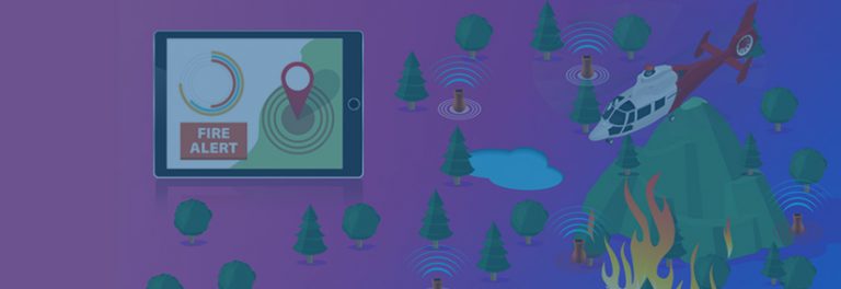 Preventing and Fighting Forest Fires with IoT and AI