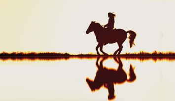 Listen to the customer, or you’ll just make a faster horse