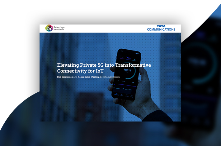 Elevating Private 5G into Transformative Connectivity for IoT