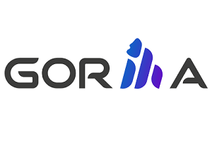 Gorilla Technology Group announces intention to acquire Bacom Internetwork