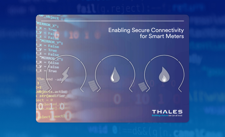 Meeting the smart meter connectivity challenge