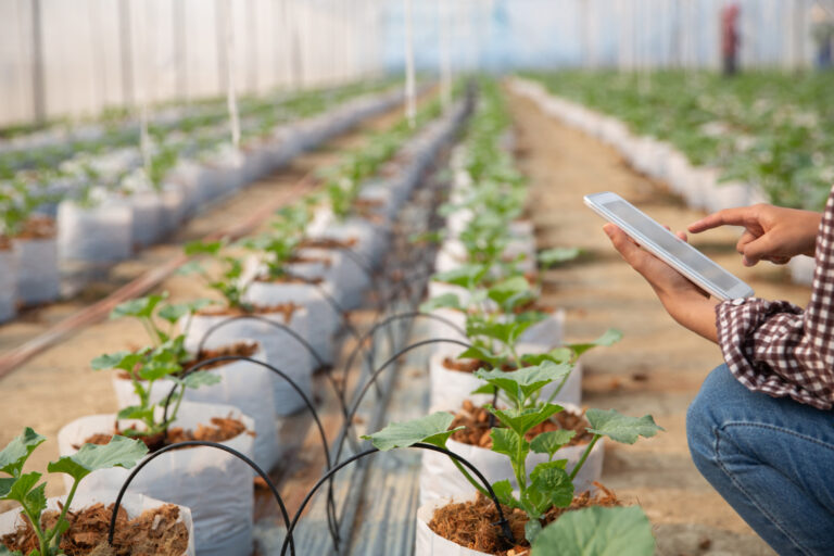 Smart ranching and remote water management
