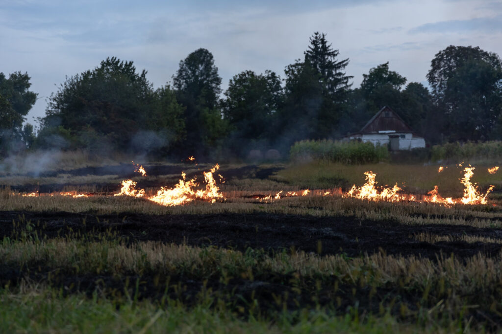 Dryad launches Gen-4-Pro Silvanet Wildfire Sensor, setting new standard in ultra-early fire detection