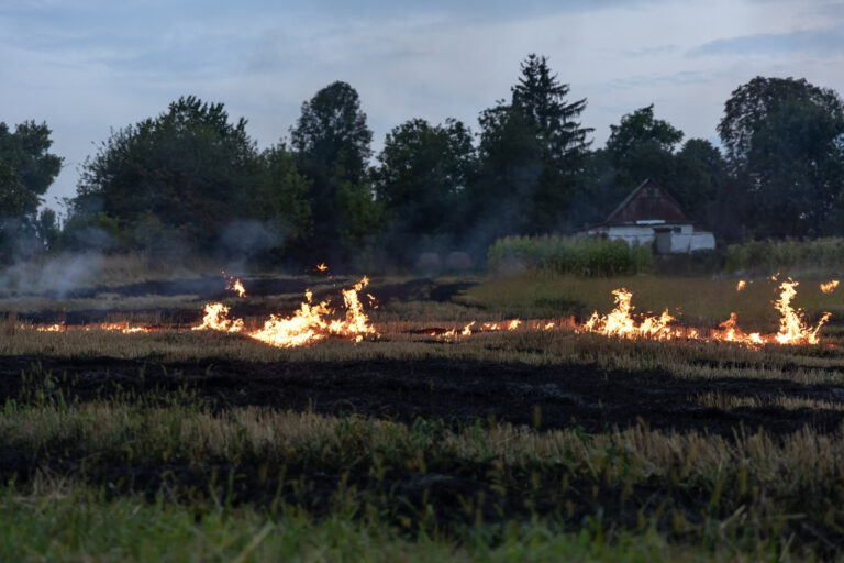 Dryad launches Gen-4-Pro Silvanet Wildfire Sensor, setting new standard in ultra-early fire detection